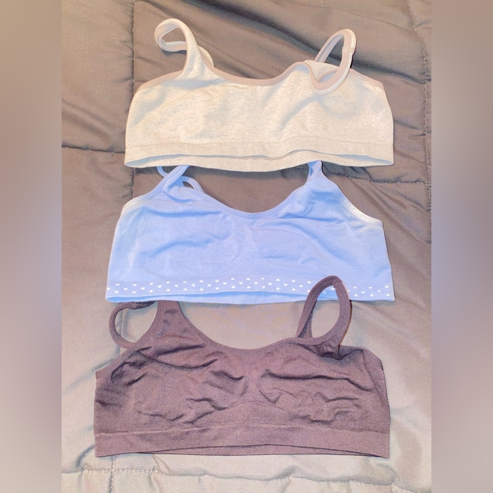 Hanes Sports Bras